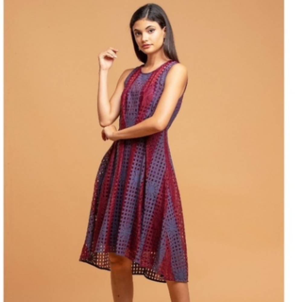 Eva Franco Mesh Plum Dress Anthropologie